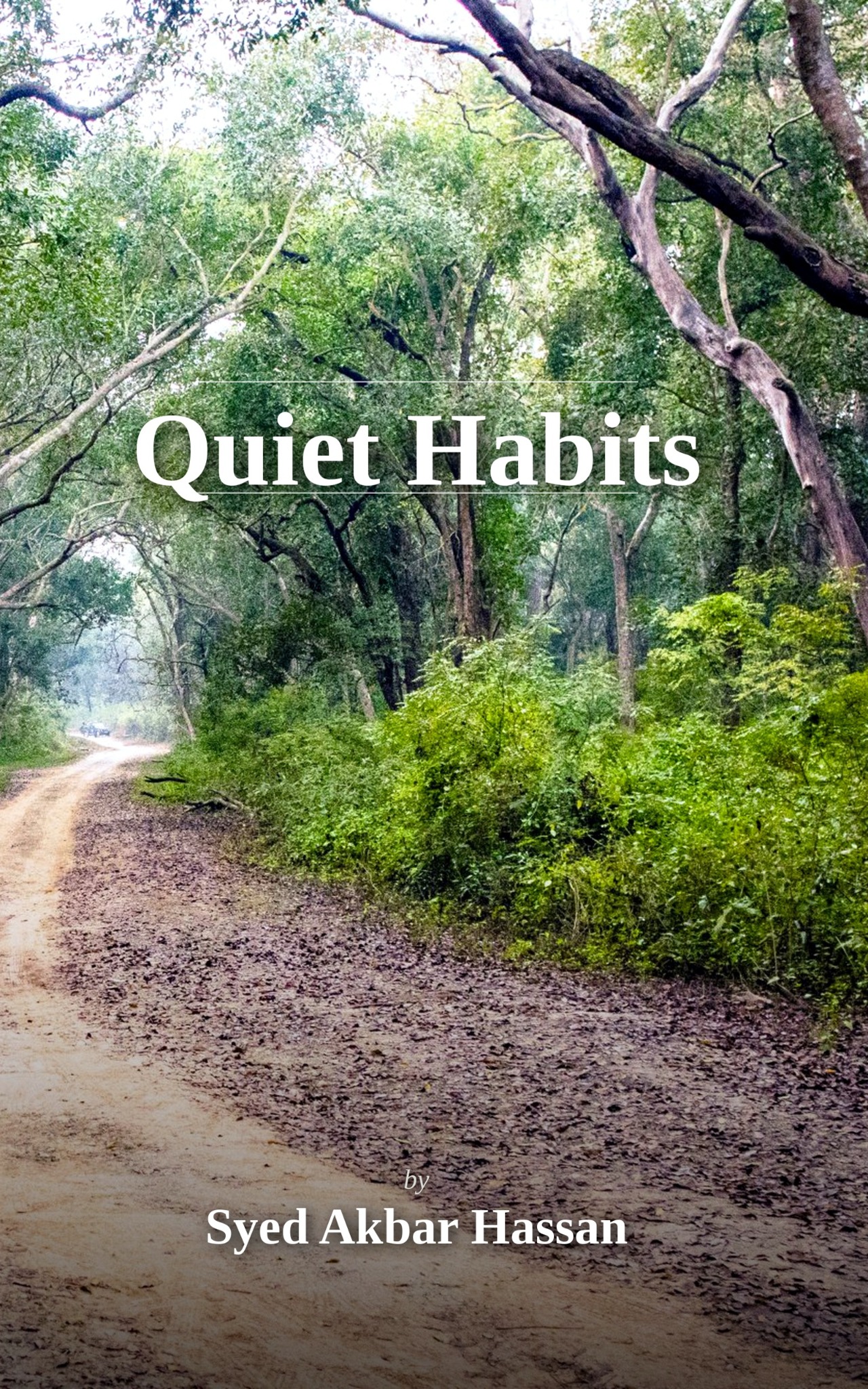 Quiet Habits by Syed Akbar Hassan